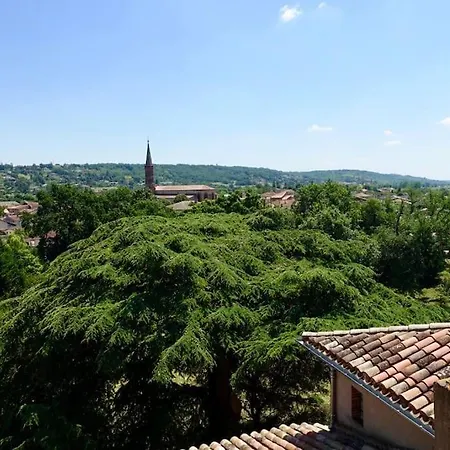 Apartment Chateau De Fontanas, Le Puits Grisolles (Tarn-et-Garonne)